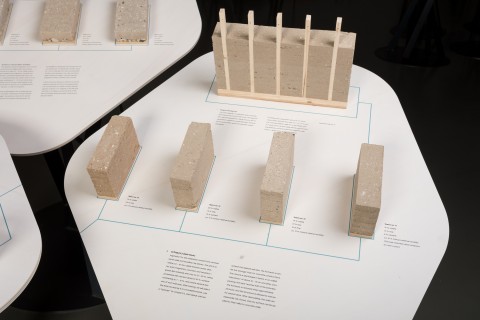 Human by Design