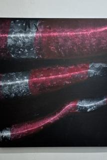 Rok hada - Lucia Fabová