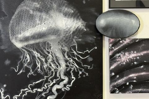 Rok hada - Lucia Fabová