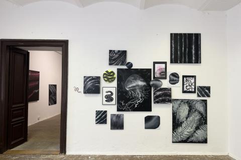 Rok hada - Lucia Fabová