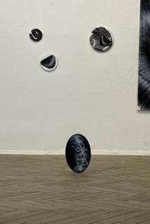 Rok hada - Lucia Fabová