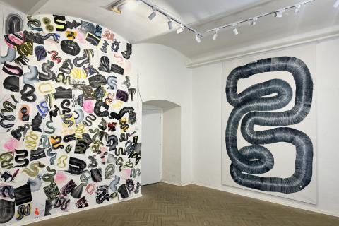 Rok hada - Lucia Fabová