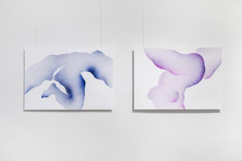 Radostina Doganova - Moje telo je tvoj domov