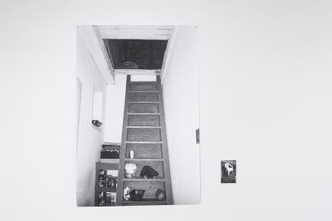 Kristína Mičová - Merkur 4160 AB